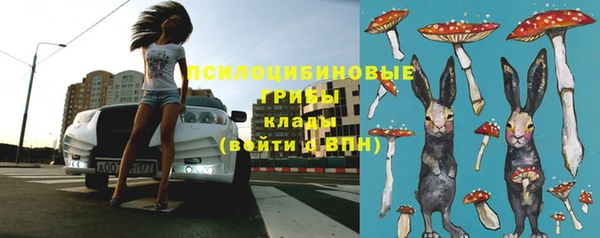скорость Баксан