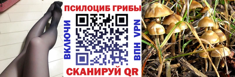 купить наркотик  Теберда  Псилоцибиновые грибы мухоморы 